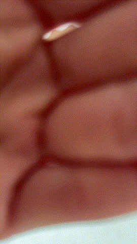 Parete decorativa S21